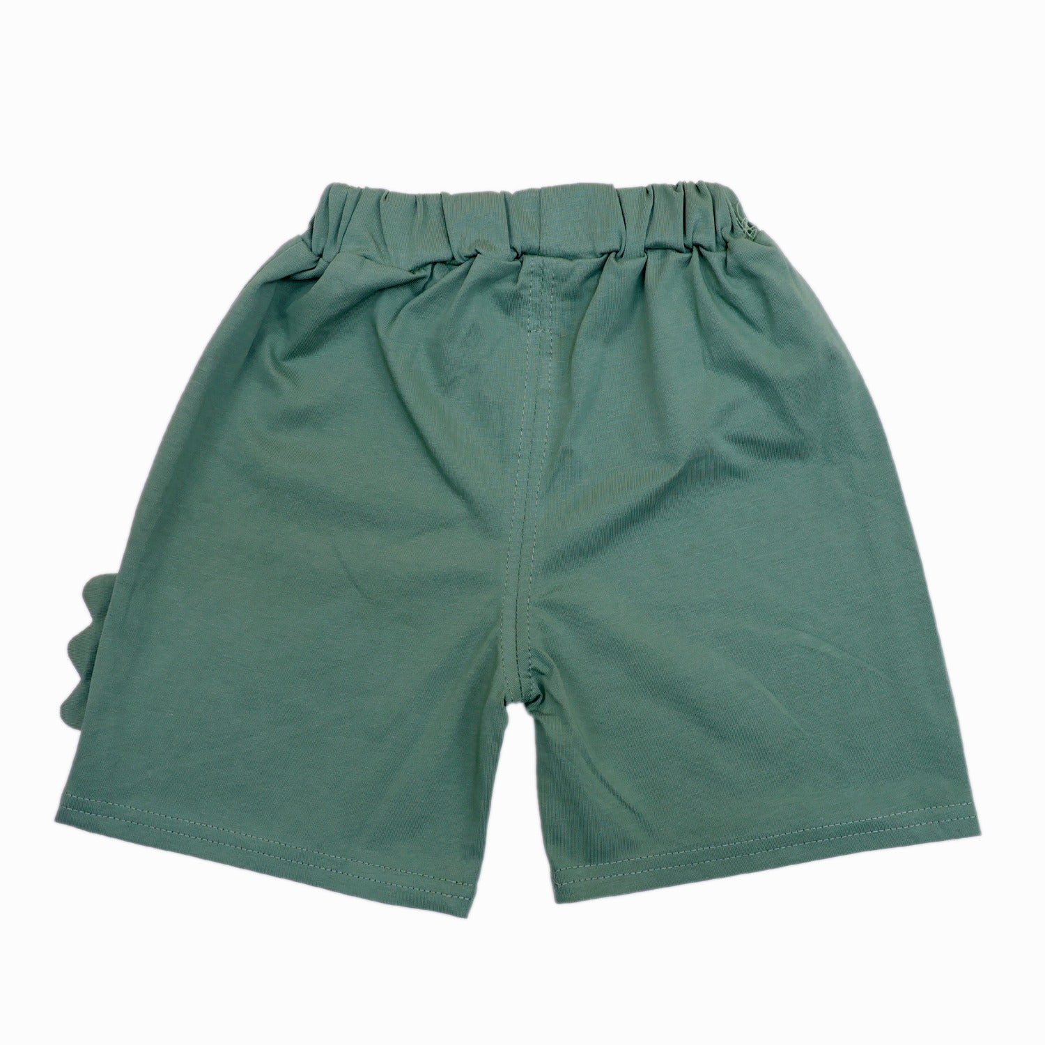 Dino Half Sleeves Shorts set