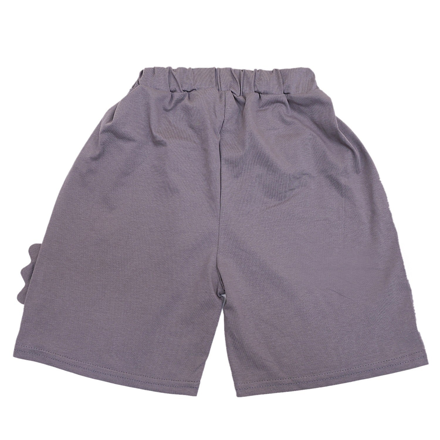 Dino Half Sleeves Shorts set
