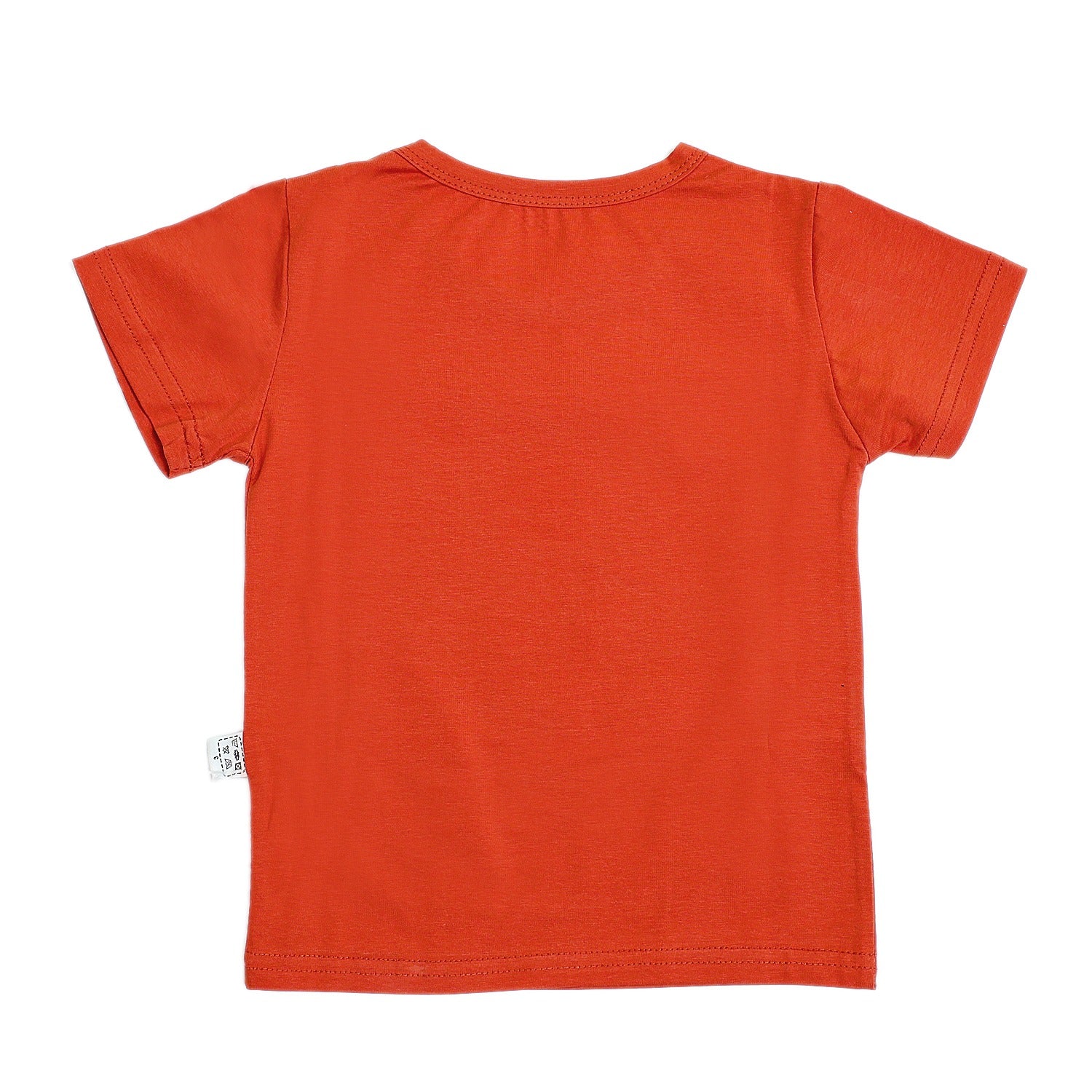 Bear print Half Sleeves Shorts Set for Boys