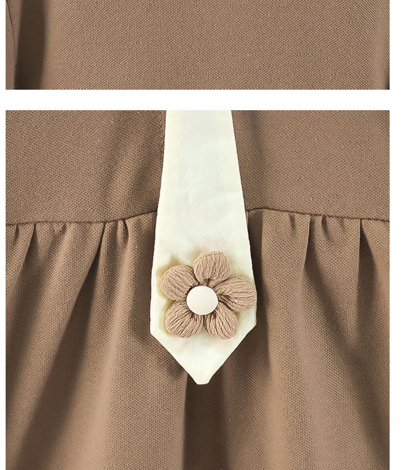 Collared Dress With Flower Appliqué Tie